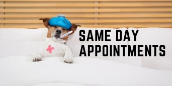 5 Sick Visits Access Wellness Healthcare Modesto CA